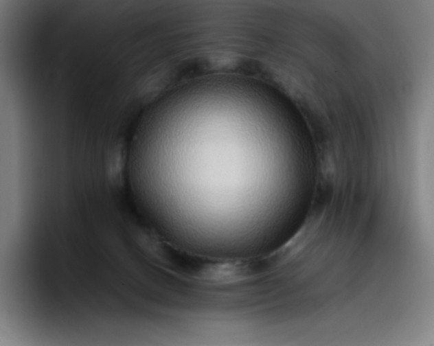 X0000096730082200802191557