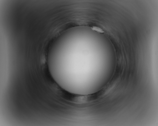 X0000096730084200802191557