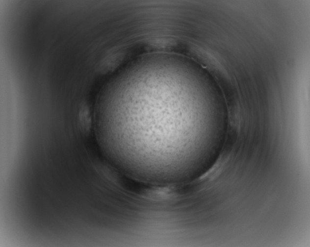 X0000096730086200802191557