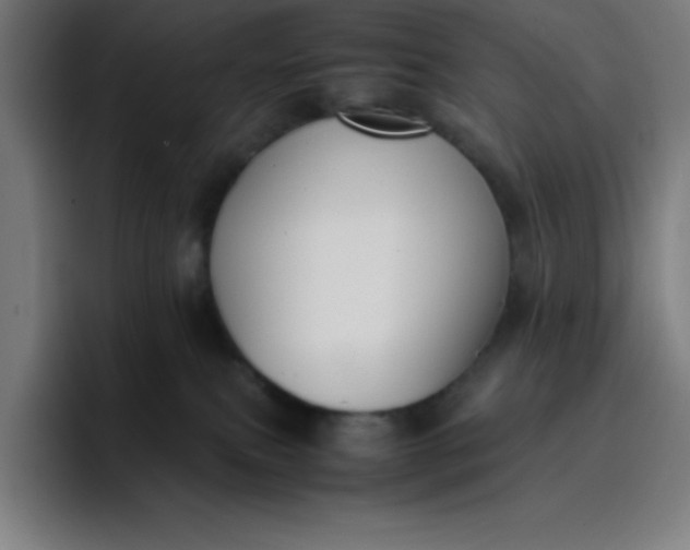 X0000096730087200802191557