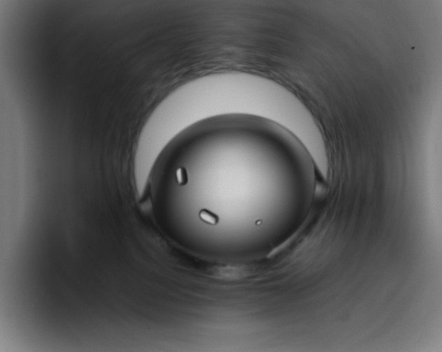 X0000096730088200802191557