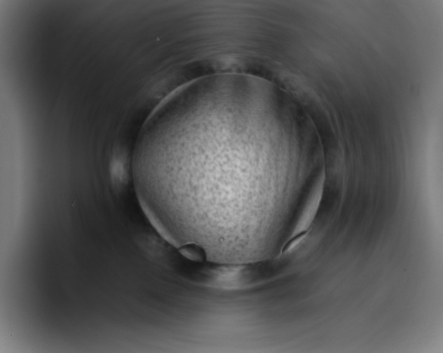 X0000096730090200802191557