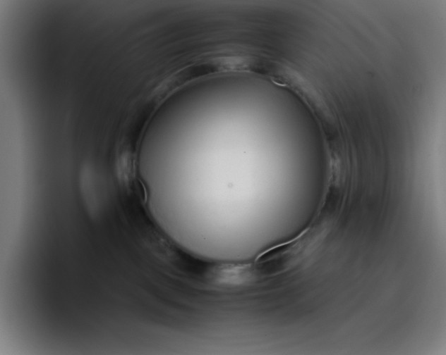 X0000096730093200802191557