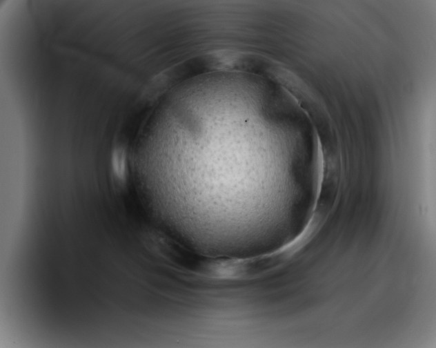 X0000096730094200802191557