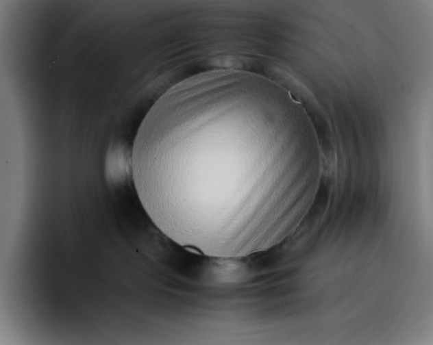 X0000096730095200802191557