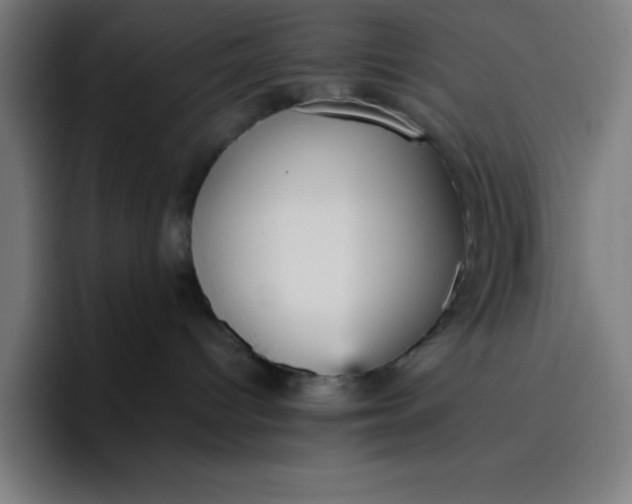 X0000096730096200802191557