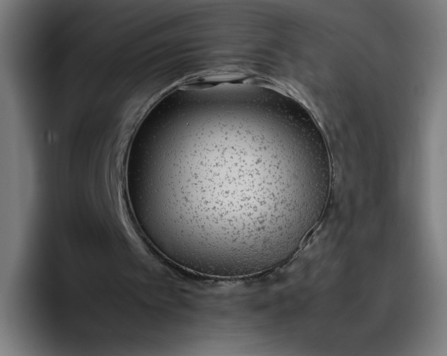 X0000096730097200802191556