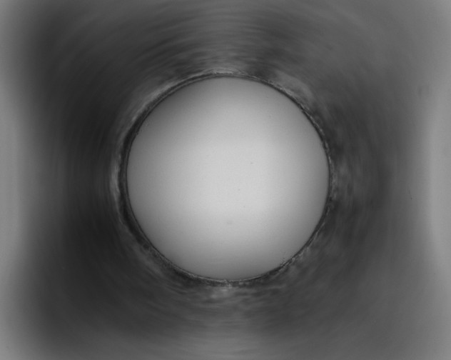 X0000096730098200802191556