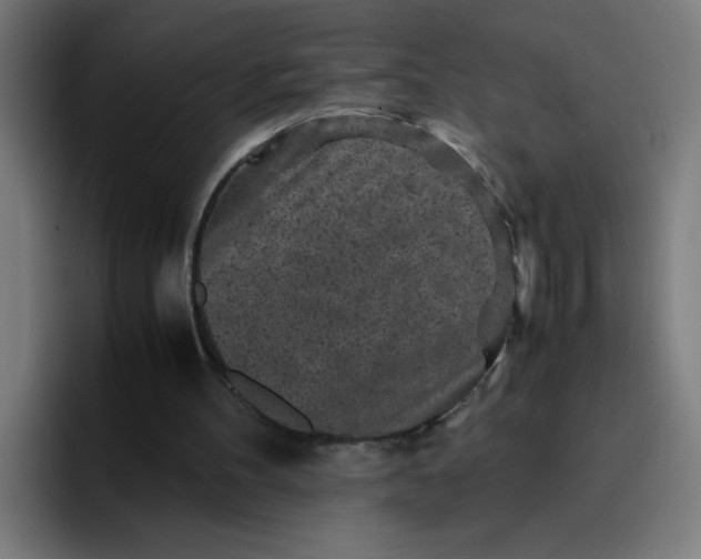 X0000096730100200802191556