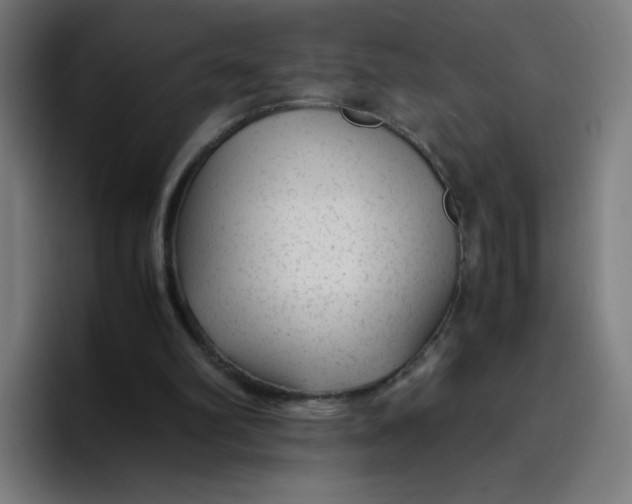 X0000096730102200802191556