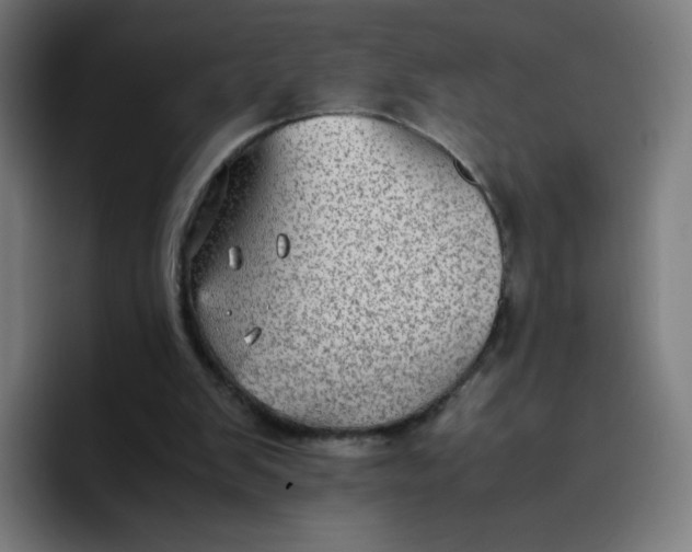 X0000096730103200802191556