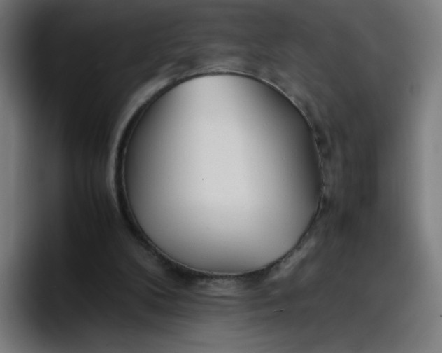 X0000096730104200802191556