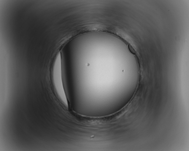 X0000096730105200802191556