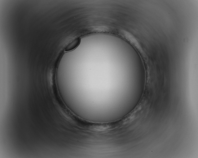 X0000096730106200802191556