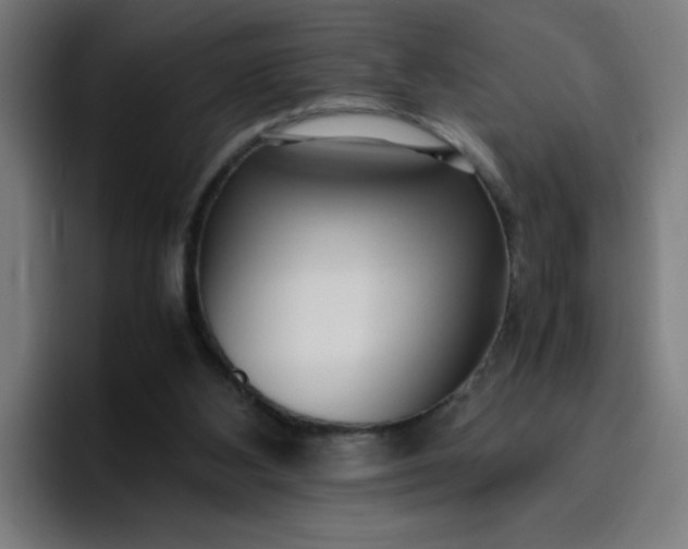 X0000096730108200802191556