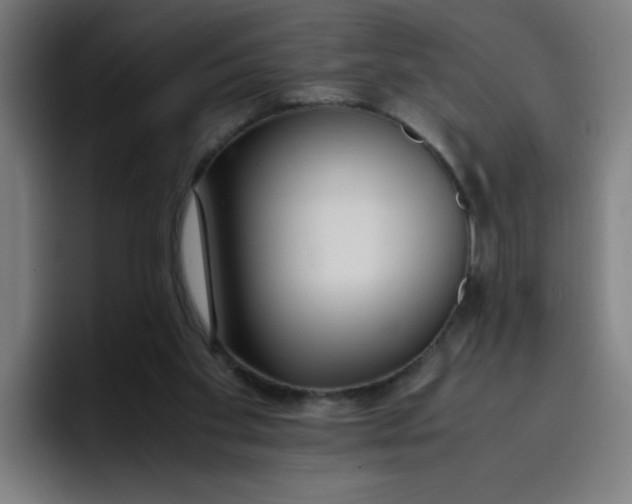 X0000096730109200802191556