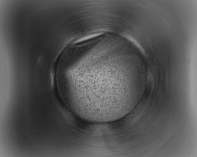 X0000096730110200802191556