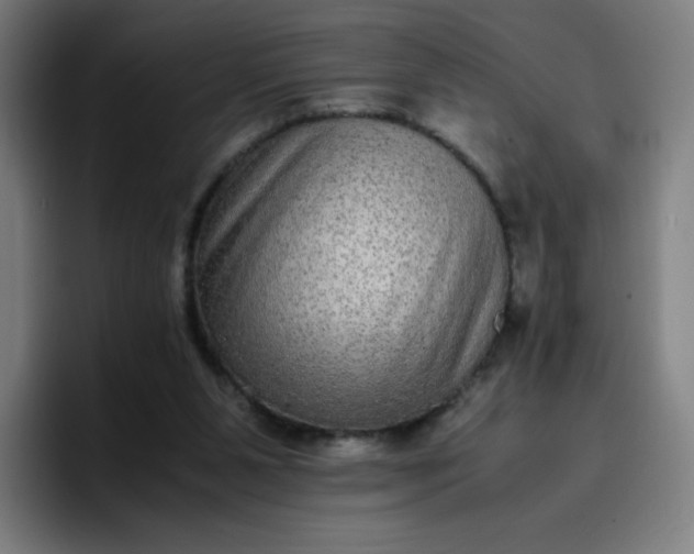 X0000096730111200802191556