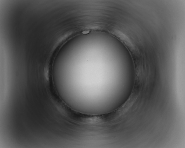 X0000096730112200802191556