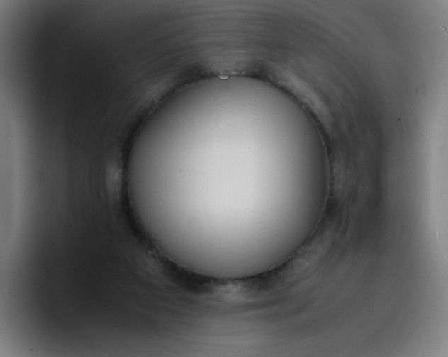 X0000096730113200802191556