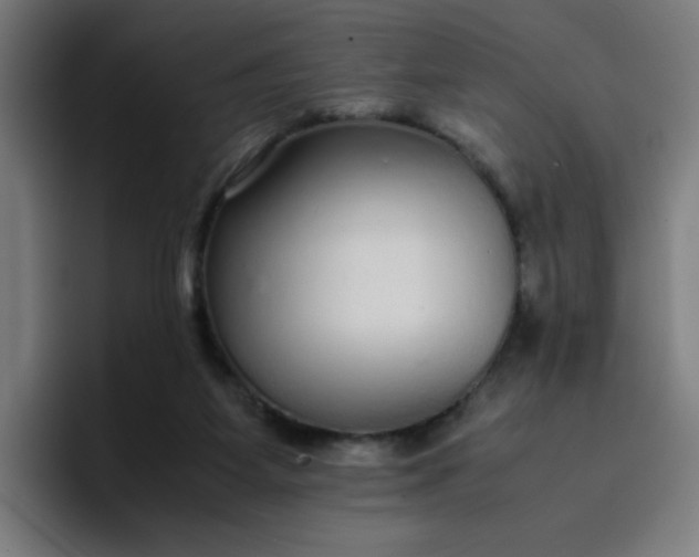 X0000096730115200802191556