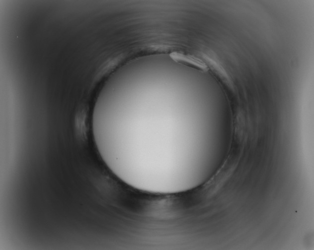 X0000096730116200802191556