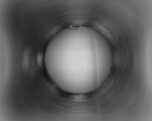 X0000096730118200802191556