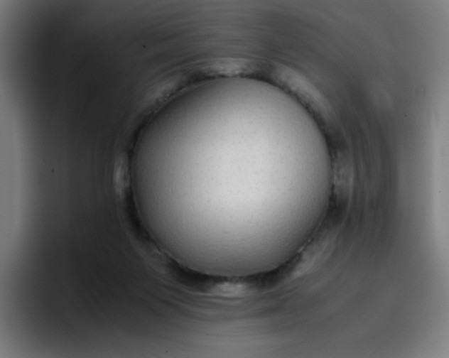 X0000096730119200802191556