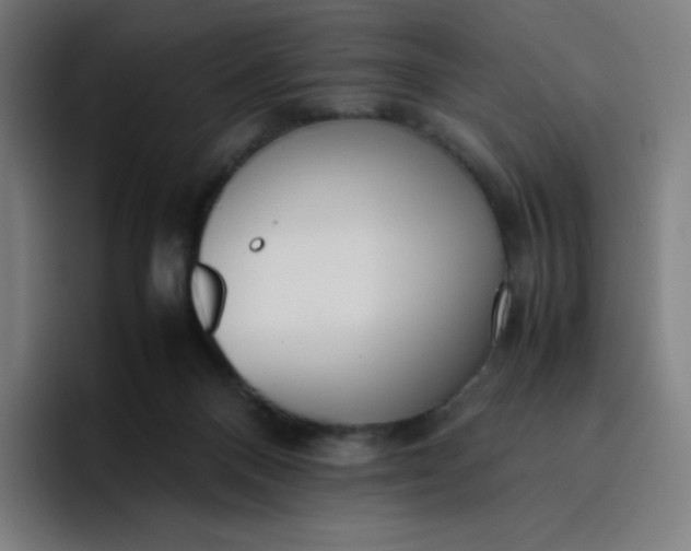 X0000096730120200802191556