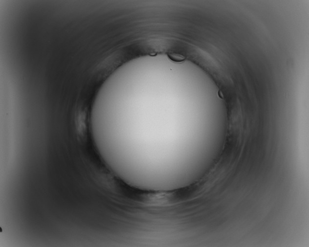 X0000096730122200802191556