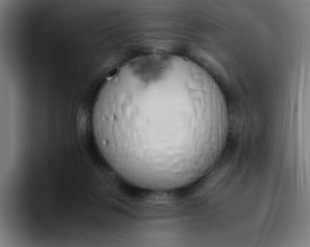 X0000096730123200802191556