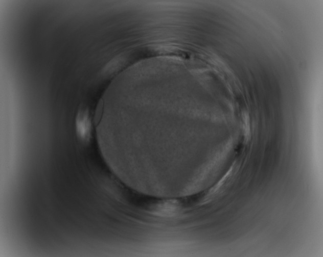 X0000096730124200802191556