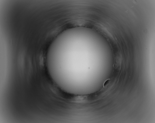 X0000096730126200802191556