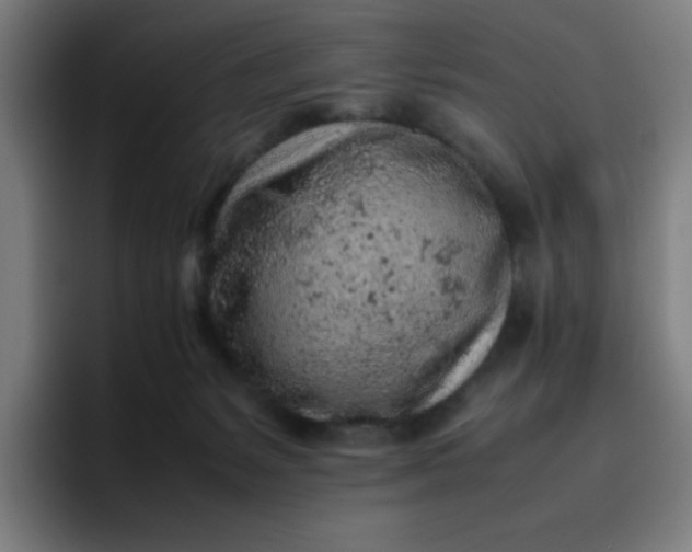 X0000096730127200802191556