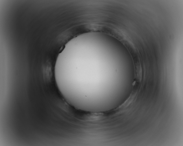 X0000096730128200802191556