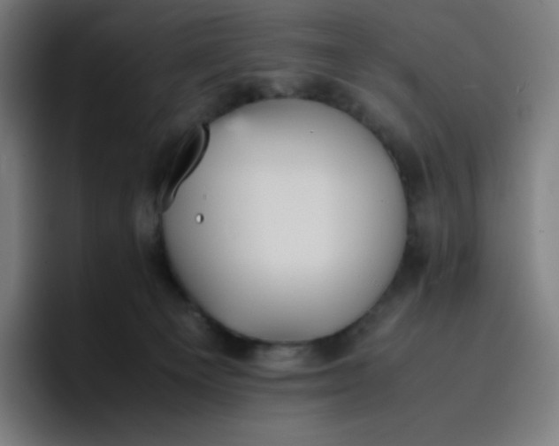 X0000096730129200802191556