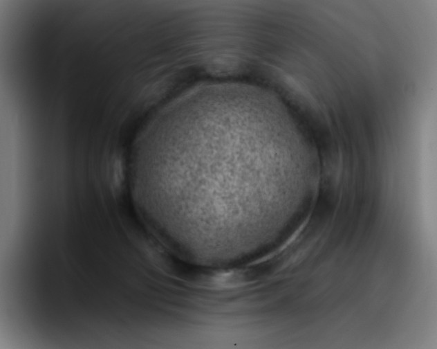 X0000096730130200802191556