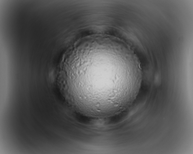 X0000096730131200802191556