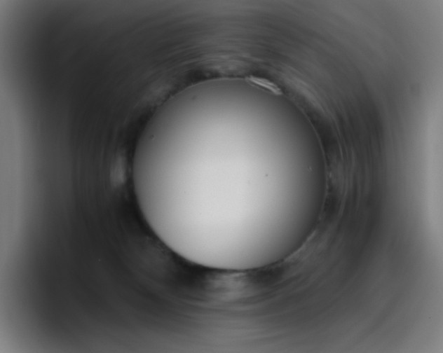 X0000096730132200802191556