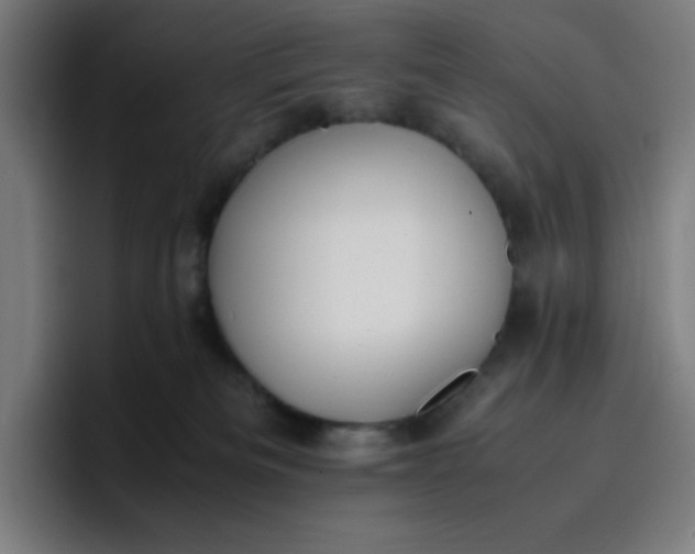 X0000096730133200802191556