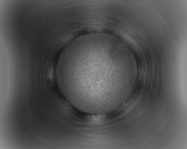 X0000096730134200802191556