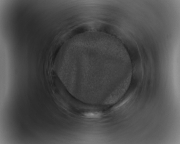 X0000096730137200802191556