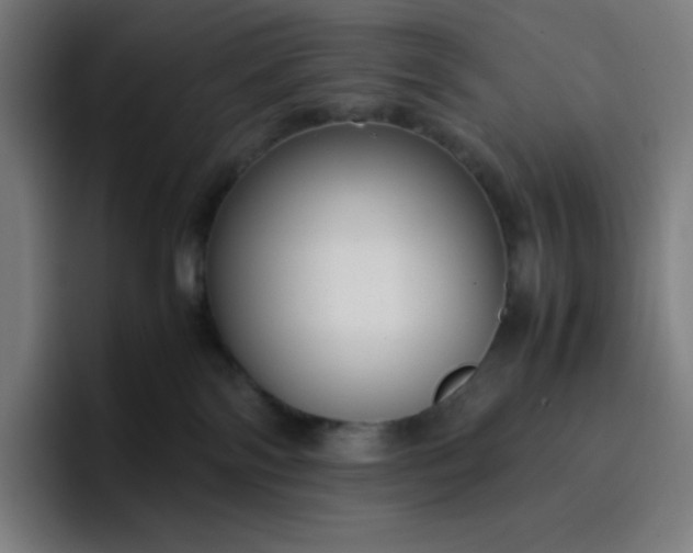 X0000096730138200802191556