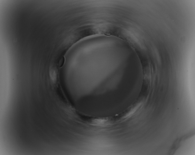 X0000096730139200802191556