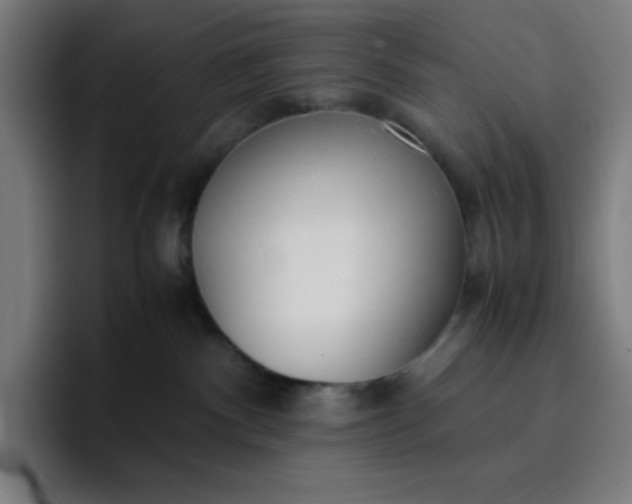 X0000096730140200802191556