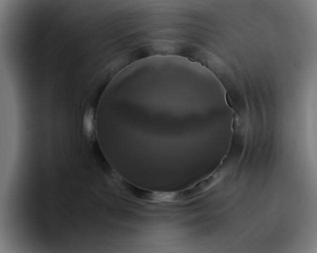 X0000096730143200802191556