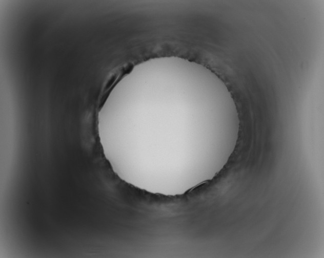 X0000096730144200802191556