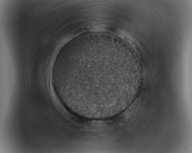 X0000096730145200802191555