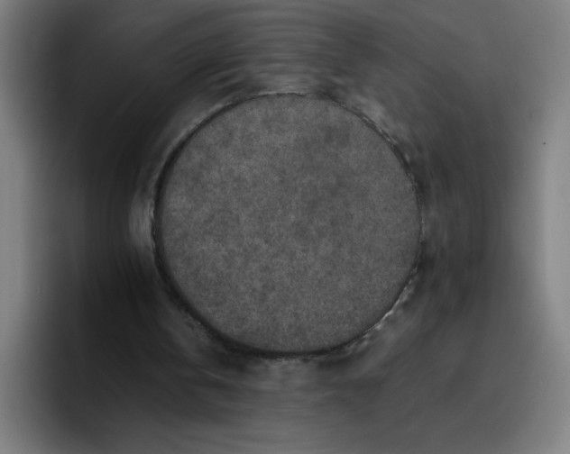 X0000096730146200802191555