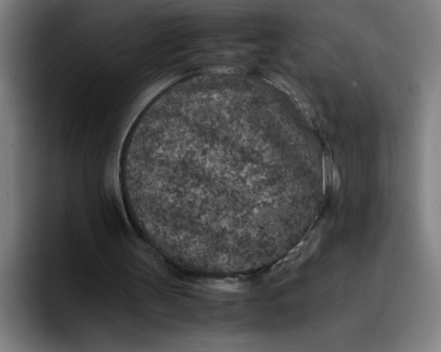 X0000096730147200802191555